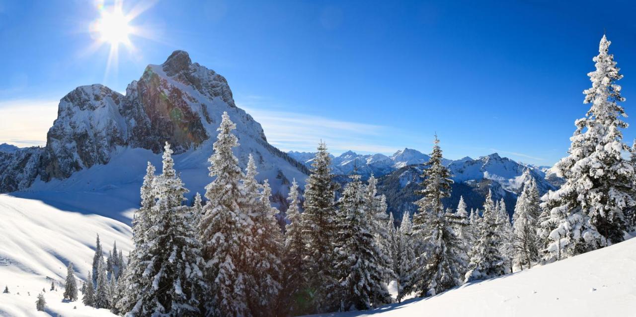 VitAllgäu-Neues Studio mit Königscard Pfronten Exterior foto